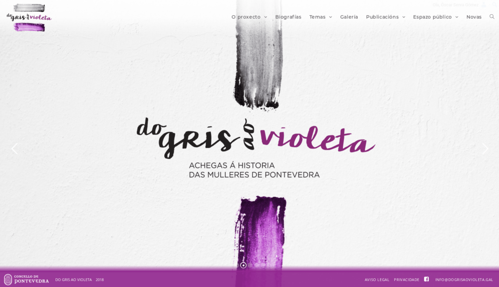 Capa da web DoGrisAoVioleta.gal